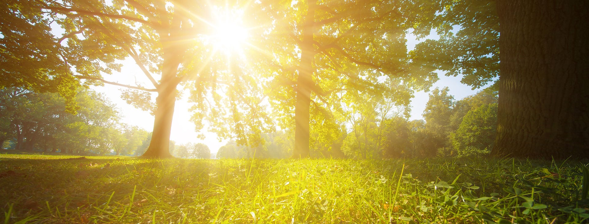 panneau solaire